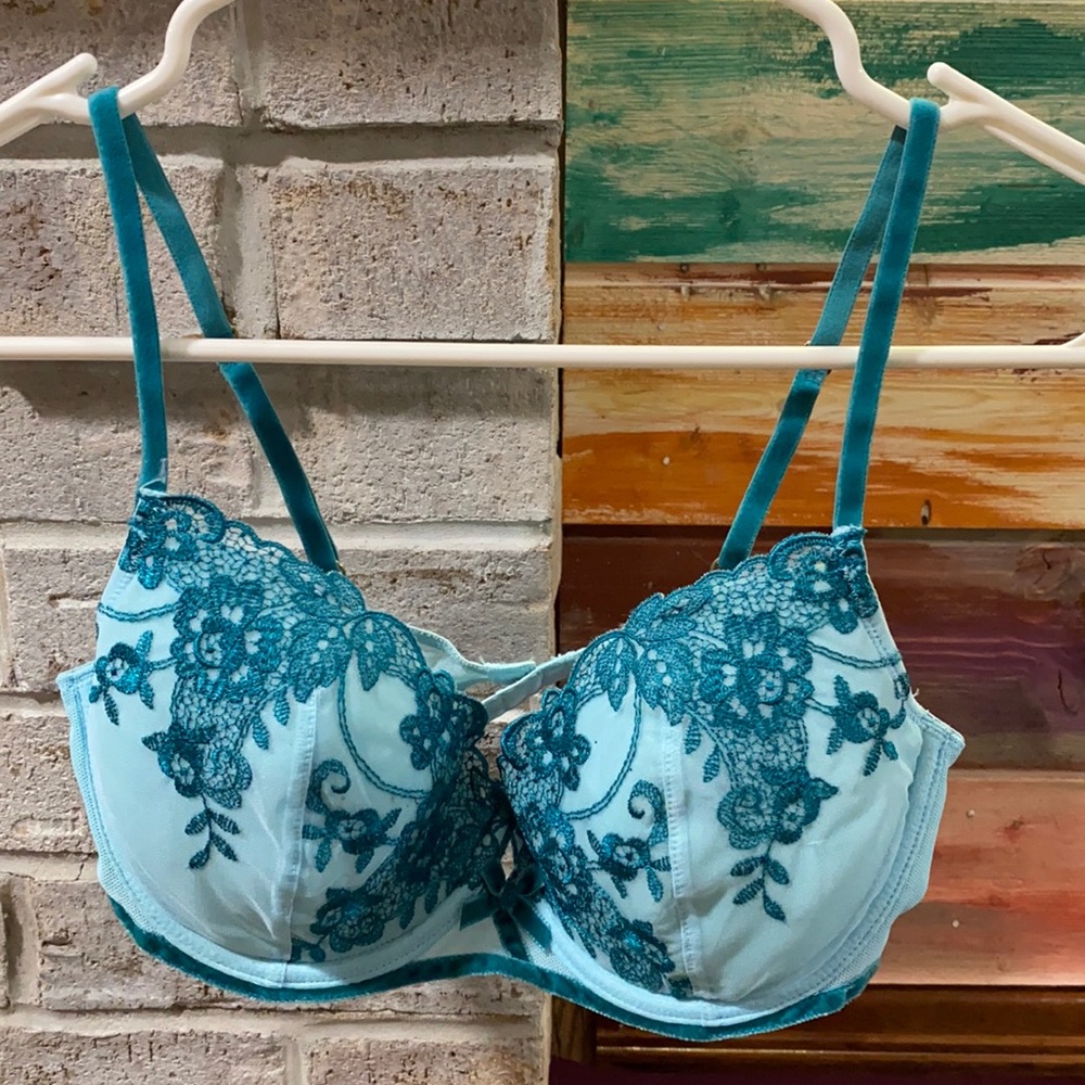 NWT VS 34C GORGEOUS  bra with embroidery and velvet detailing
